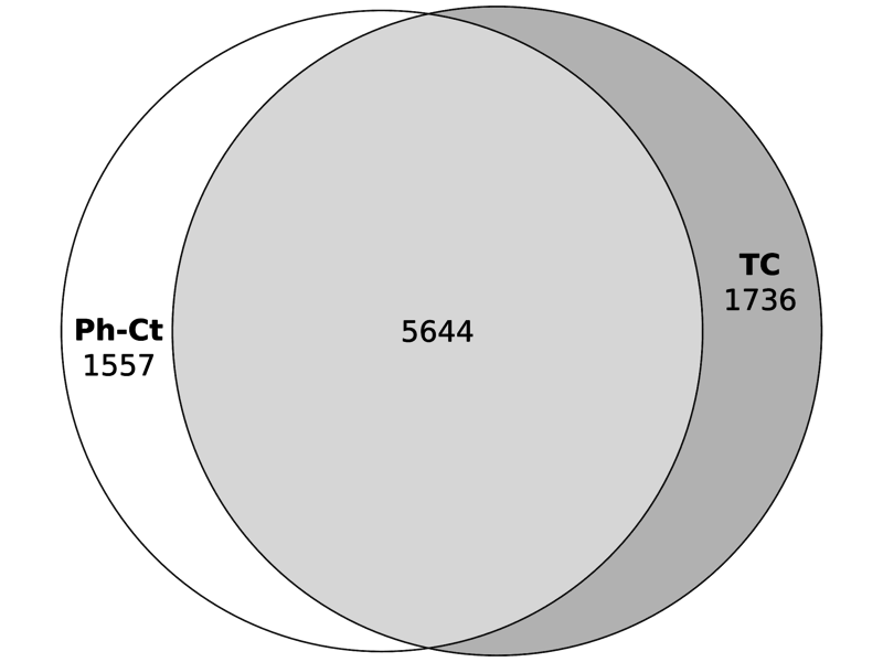 File:Figure2b.png