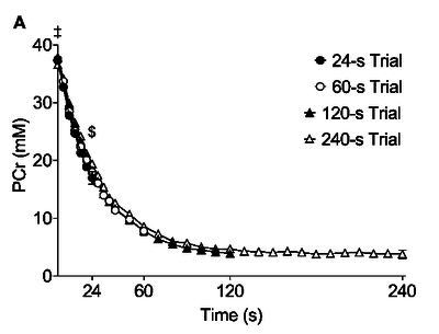 Changes in PCr (A) across time for each trial