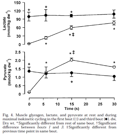 Muscle metabolite content in the vastus lateralis at rest and during maximal intermittent isokinetic cycling