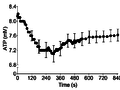 Bartlett 2020, Oxidative ATP synthesis in human quadriceps.png