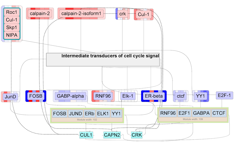File:Master regulators - Figure9.png