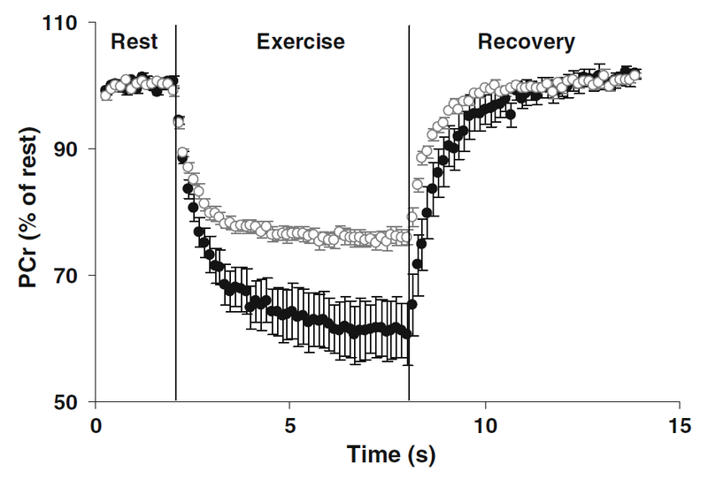 File:Layec 2008, Accurate work-rate measurements during in vivo MRS studies of exercising human quadriceps PCr.png