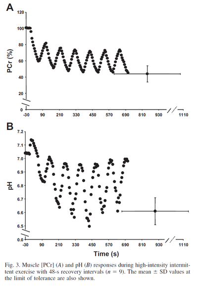Muscle [PCr] and pH responses during high-intensity intermittent exercise