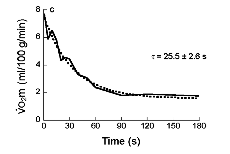 File:Behnke 2009, Recovery dynamics of skeletal muscle oxygen uptake during the exercise off-transient.png