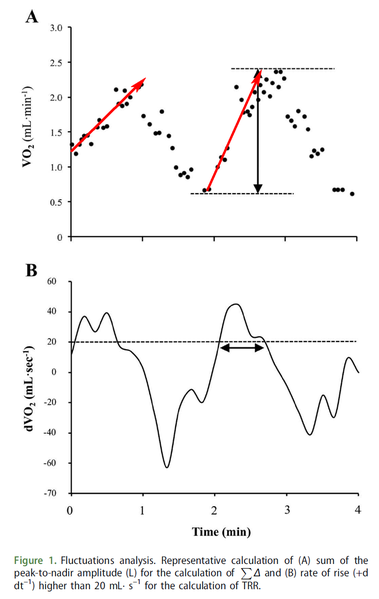 File:Combes 2016, Effect of work-rest cycle duration on VO2 fluctuations during intermittent exercise.png