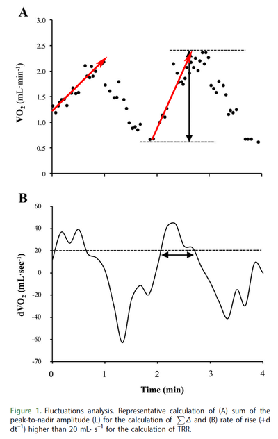 VO2 fluctuations for each exercise transition