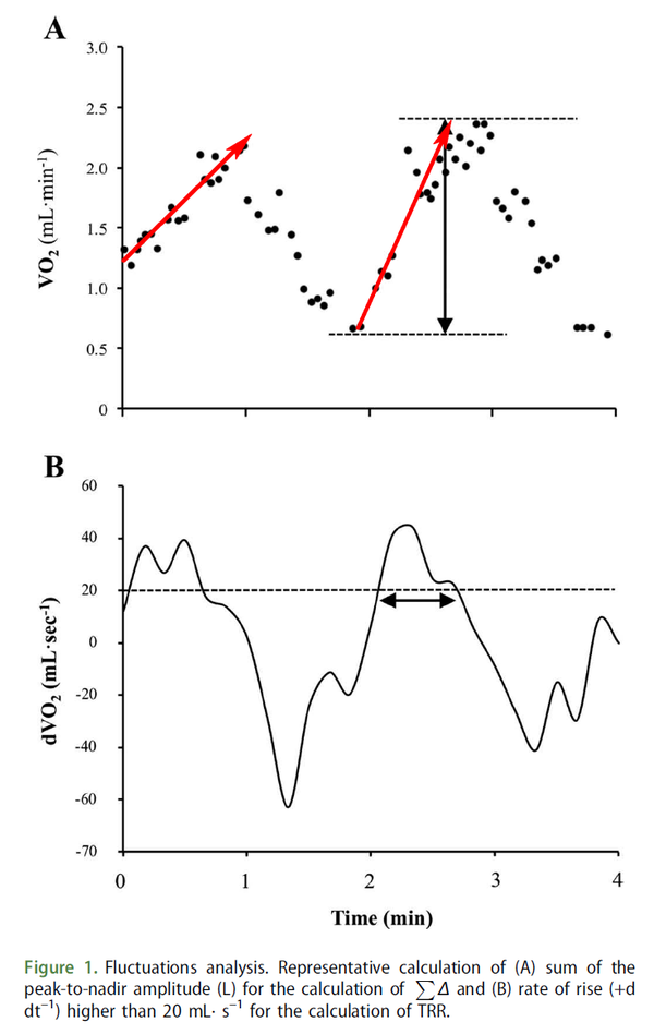 VO2 fluctuations for each exercise transition