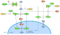 Thumbnail for version as of 16:15, 25 February 2019