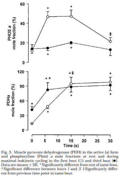 Regulation of skeletal muscle glycogen phosphorylase and PDH during maximal intermittent exercise