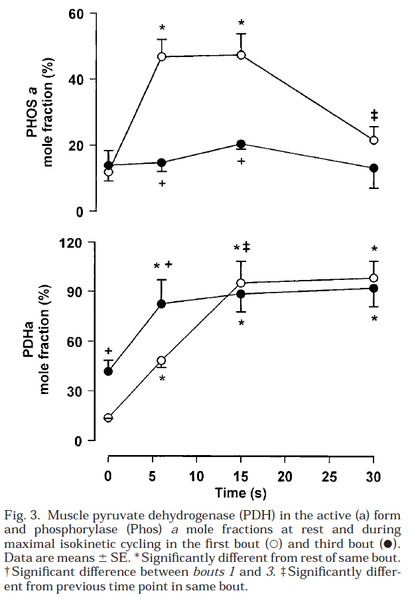 File:Parolin 1999, Regulation of skeletal muscle glycogen phosphorylase and PDH during maximal intermittent exercise.png