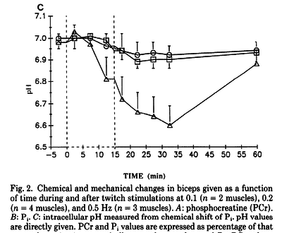 The time courses of changes in intracellular pH during stimulation at the various rates for the biceps