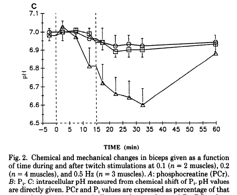The time courses of changes in intracellular pH during stimulation at the various rates for the biceps
