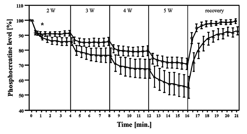 Changes in PCr concentration across time