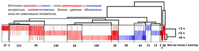Figure 1.1