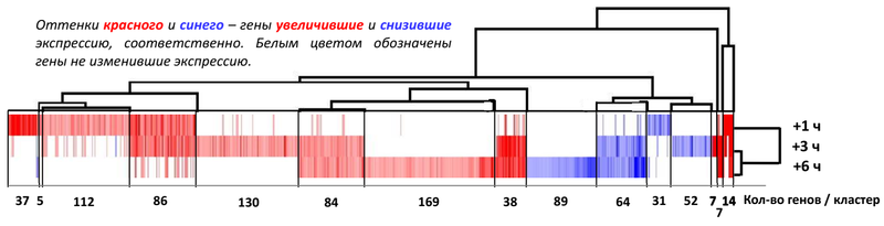 Figure 1.1