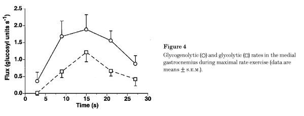 Glycogenolytic and glycolytic rates in the medial gastrocnemius during maximal rate exercise