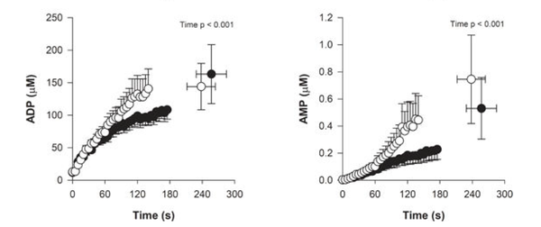 Intramuscular metabolic perturbation during high-intensity intermittent isometric single-leg knee-extensor exercise