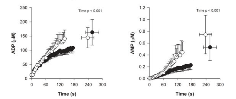 File:Broxterman 2017, Bioenergetics and ATP Synthesis during Exercise.png