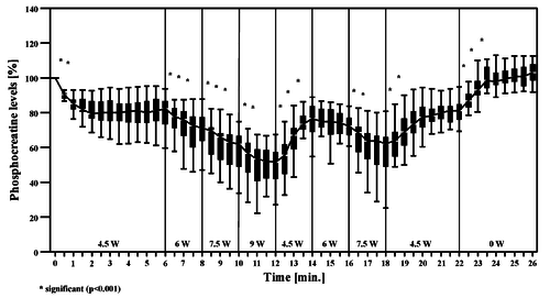 Changes in PCr concentration across time