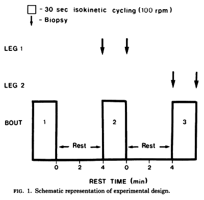 Schematic representation of experimental design