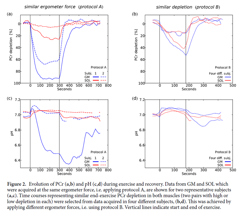 Recovery dynamics for PCr and pH after exercise at 40% maximum voluntary contraction (MVC)