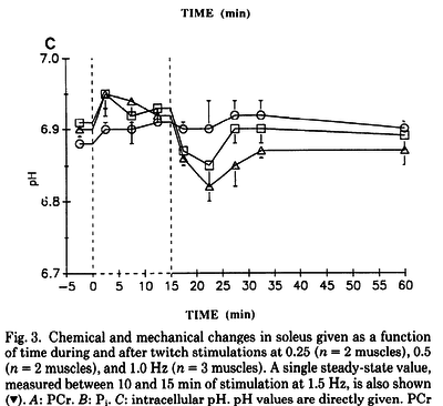 The time courses of changes in intracellular pH during stimulation at the various rates for the soleus