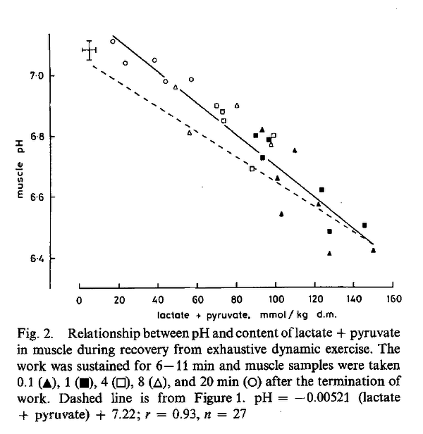 Relationship between pH and content of lactate + pyruvate in muscle during recovery from exhaustive dynamic exercise