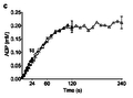 Bartlett 2020, Oxidative ATP synthesis in human quadriceps ADP.png